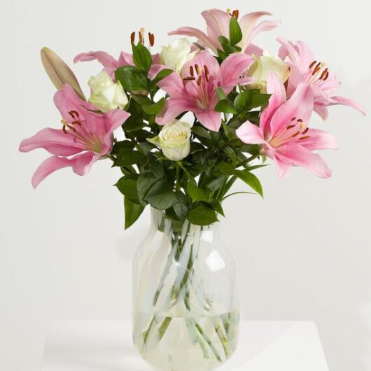 Rose & Lily Chic
